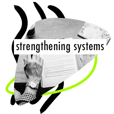 Strengthening systems workshops.